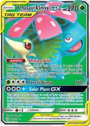 Venusaur & Snivy-GX