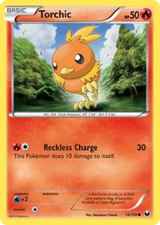Torchic