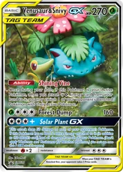 Venusaur & Snivy-GX