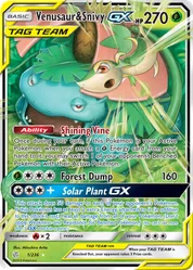 Venusaur & Snivy-GX